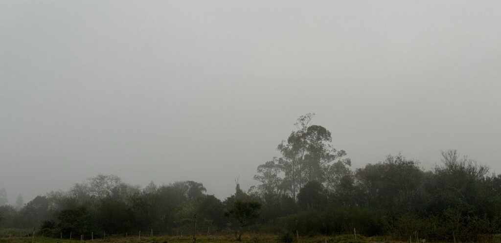Rolante amanhece com neblina e terá aumento das temperaturas antes da chegada da chuva